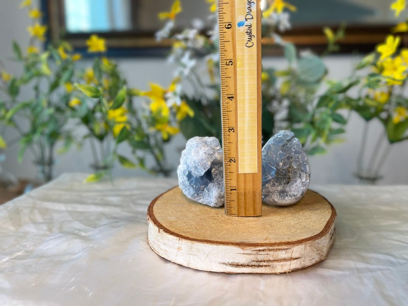 Celestite Cluster / Geode Egg from Madagascar FB1680