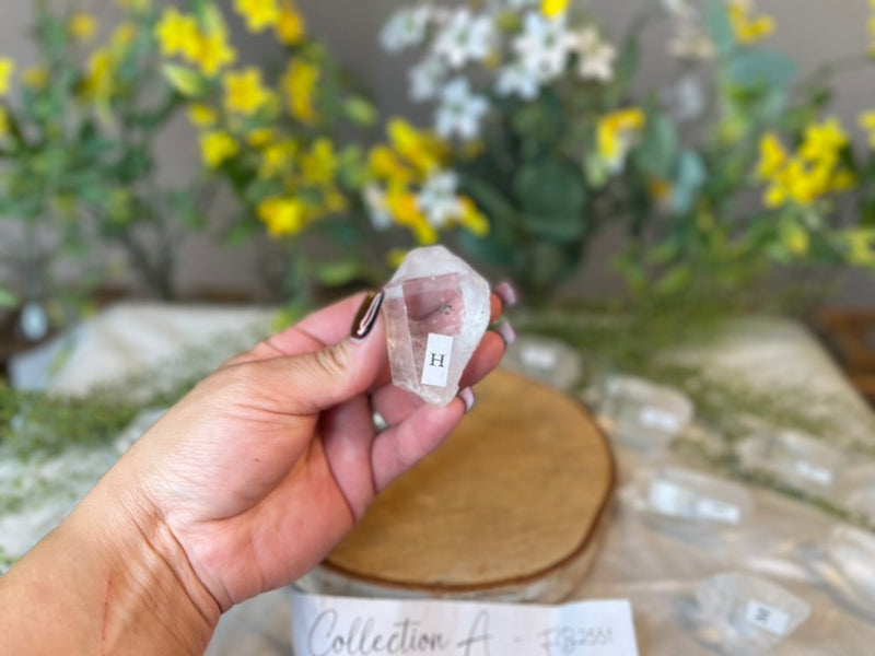 Clear Quartz 💛 High Grade 💛 Natural Points for amplifying energy FB2551 A