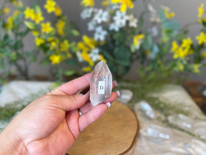 Clear Quartz 💛 High Grade 💛 Natural Points for amplifying energy FB2551 A