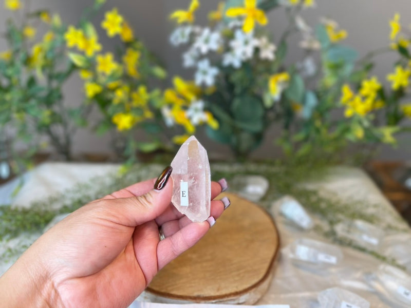 Clear Quartz 💛 High Grade 💛 Natural Points for amplifying energy FB2551 A