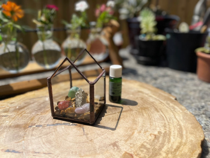 Crystal Energy Terrariums, Complete Collections with Intention FB1201