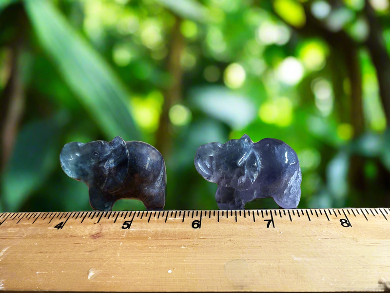 Elephant Totem/Spirit Animal Carving, Fluorite FB2060 🐘