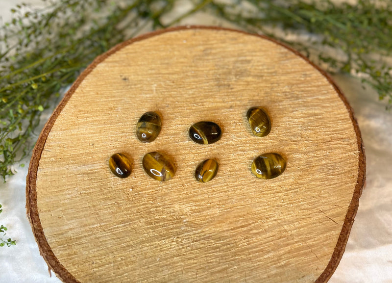 Tiger Eye Cabochon Collection, Mini Set of 7 FB2065