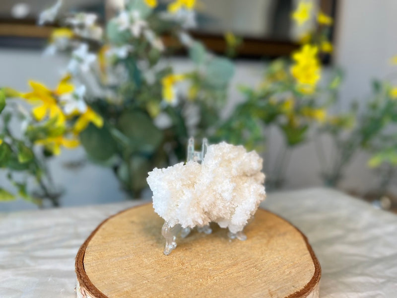 White Aragonite Cluster, Cave Calcite from Mexico FB3417