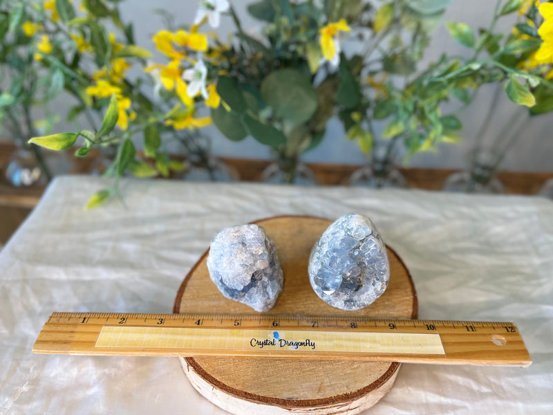 Celestite Cluster / Geode Egg from Madagascar FB1680