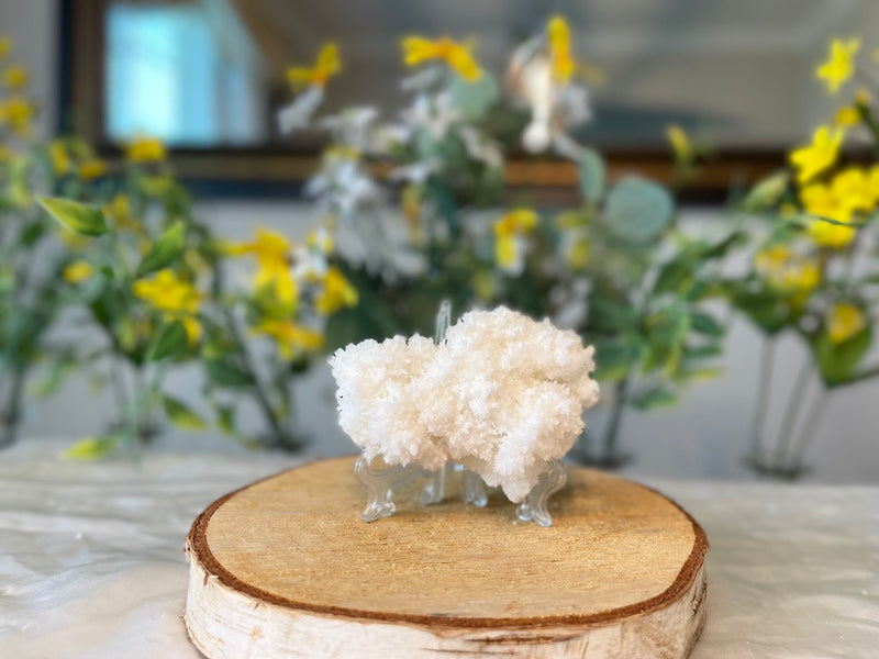 White Aragonite Cluster, Cave Calcite from Mexico FB3417