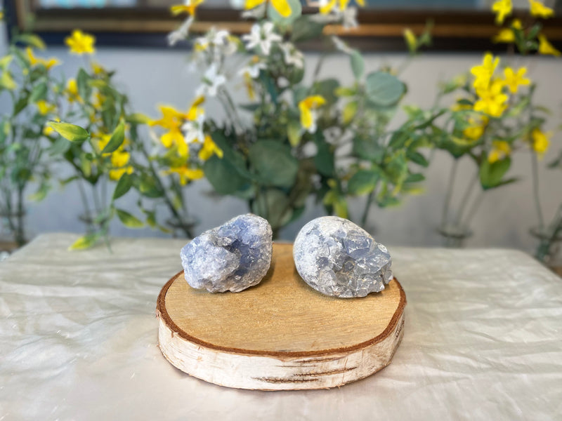 Celestite Cluster / Geode Egg from Madagascar FB1680