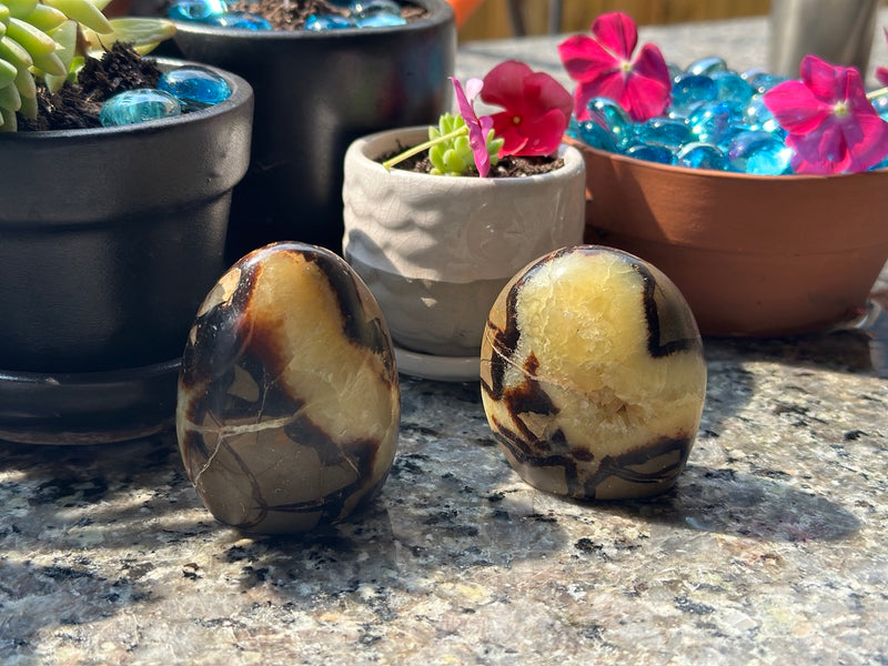 Septarian "Dragon Stone" Free-form FB2000