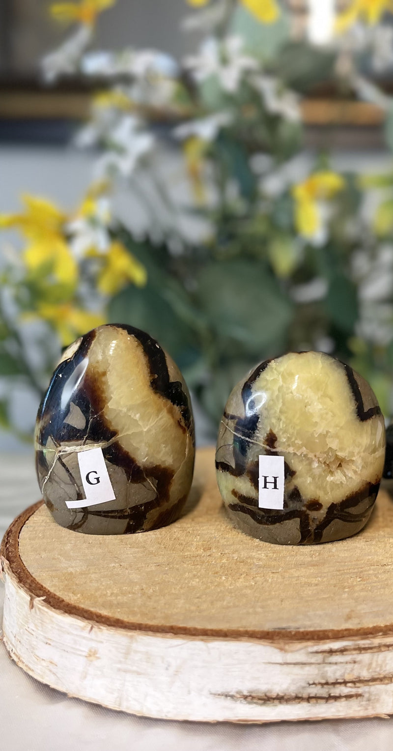 Septarian "Dragon Stone" Free-form FB2000