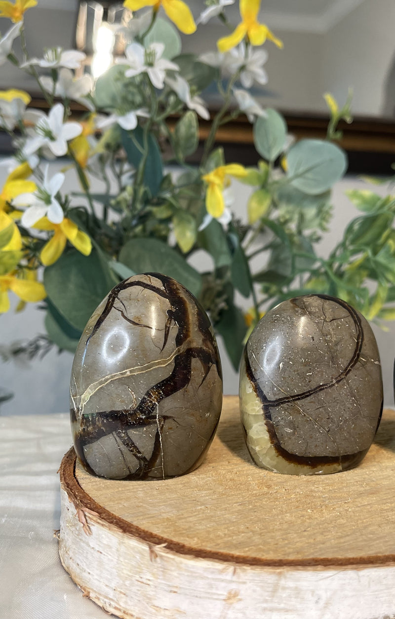 Septarian "Dragon Stone" Free-form FB2000