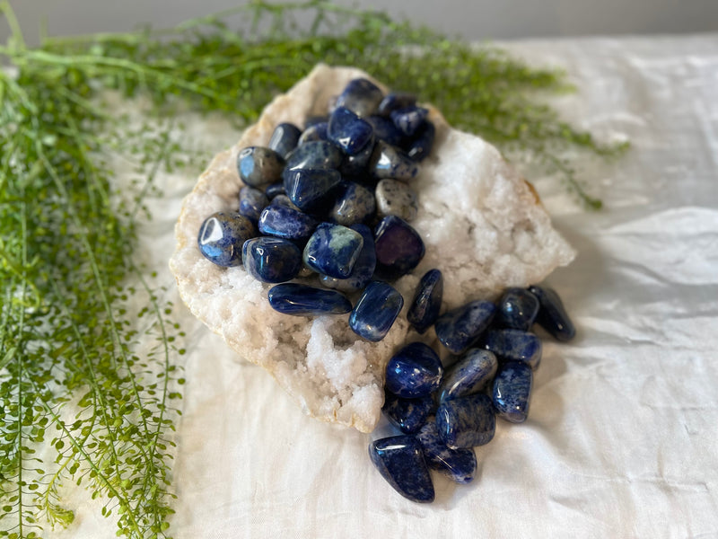 Tumbled Sodalite - Clairvoyance, Panic Attacks, Wisdom, Healing