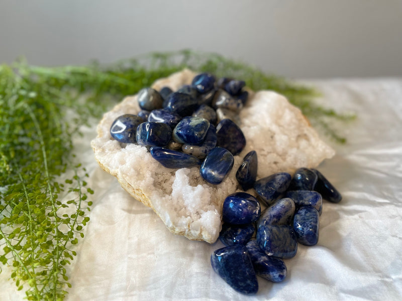 Tumbled Sodalite - Clairvoyance, Panic Attacks, Wisdom, Healing