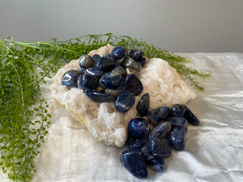 Tumbled Sodalite - Clairvoyance, Panic Attacks, Wisdom, Healing