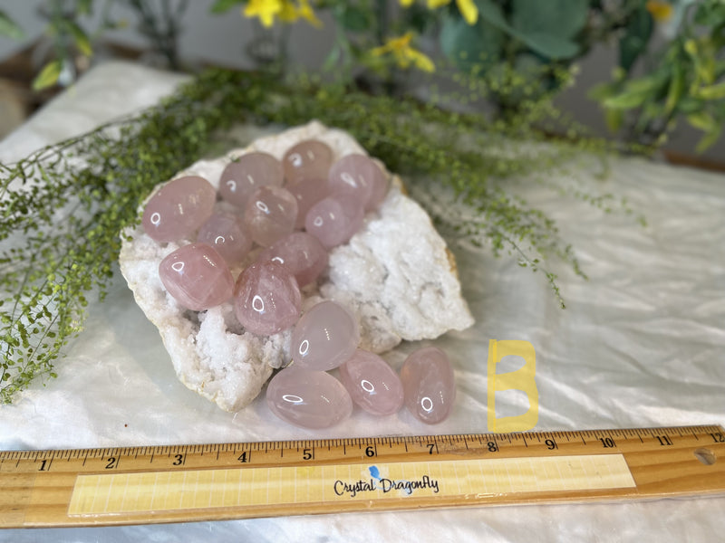 Tumbled Rose Quartz - Polished Oval Shape - Comforting, Calming, Forgiveness, & Stress Reducer FB3386