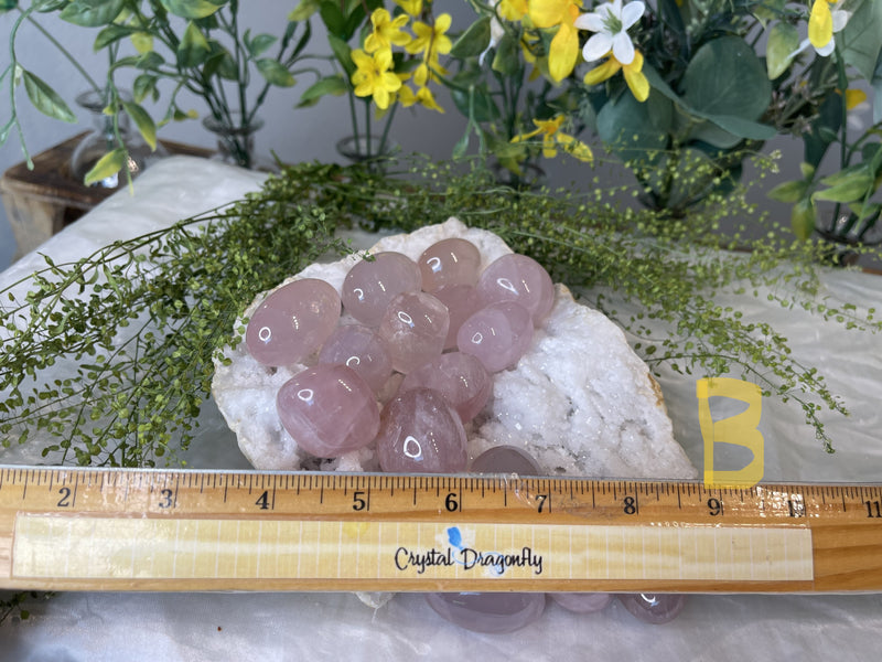 Tumbled Rose Quartz - Polished Oval Shape - Comforting, Calming, Forgiveness, & Stress Reducer FB3386