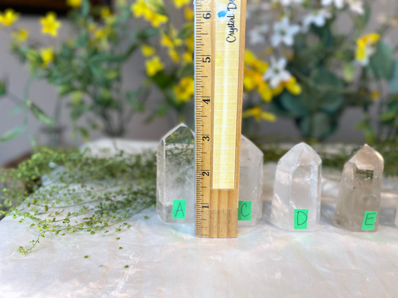 Clear Quartz Polished 🌵 High Grade 🌵 Standing Points (towers) for amplifying energy FB3218