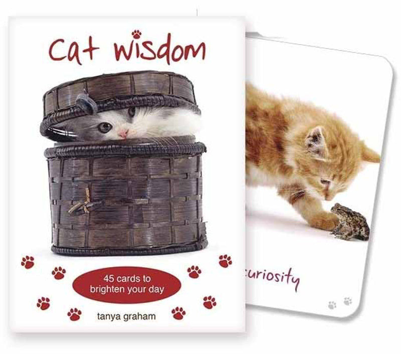 Cat Wisdom Inspirational Cards 😸