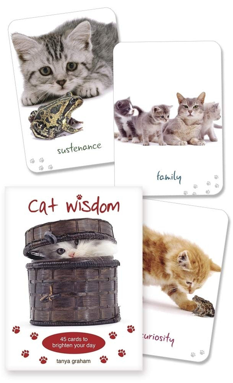 Cat Wisdom Inspirational Cards 😸