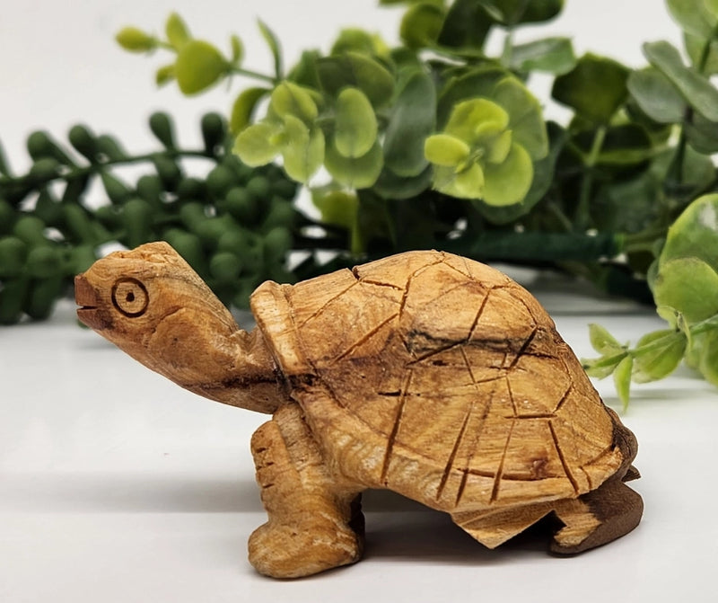 Palo Santo Turtle Totem / Spirit Animal FB2459  🐢