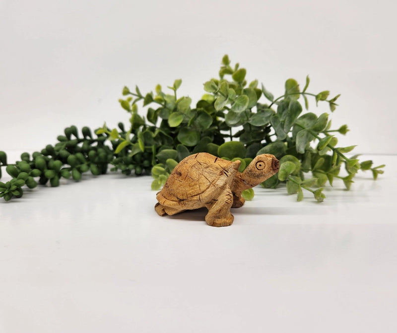 Palo Santo Turtle Totem / Spirit Animal FB2459  🐢