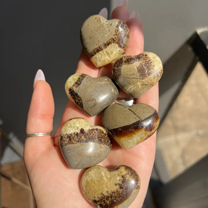 Septarian Pocket Heart, larger size from Madagascar 🌋