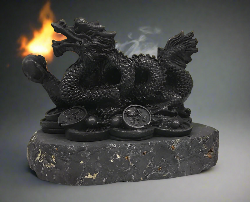 Shungite Dragon with Coins, wisdom, grounding FB2462 🧡