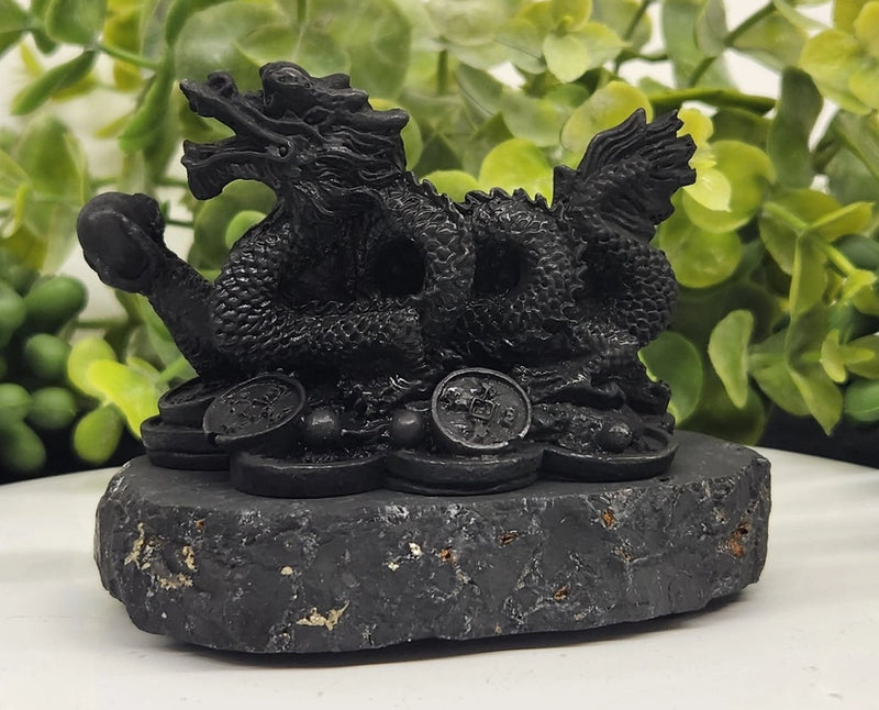 Shungite Dragon with Coins, wisdom, grounding FB2462 🧡