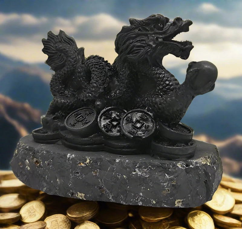 Shungite Dragon with Coins, wisdom, grounding FB2462 🧡