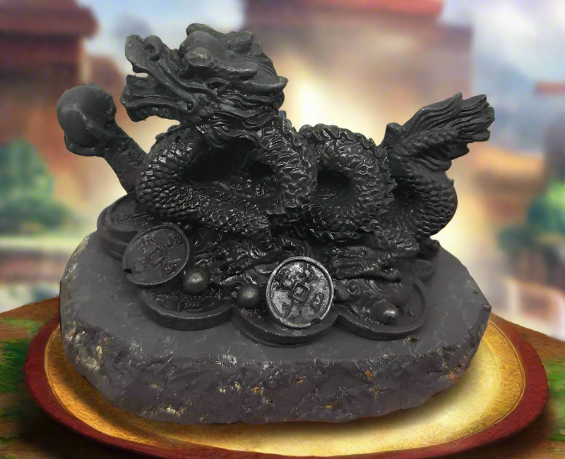 Shungite Dragon with Coins, wisdom, grounding FB2462 🧡