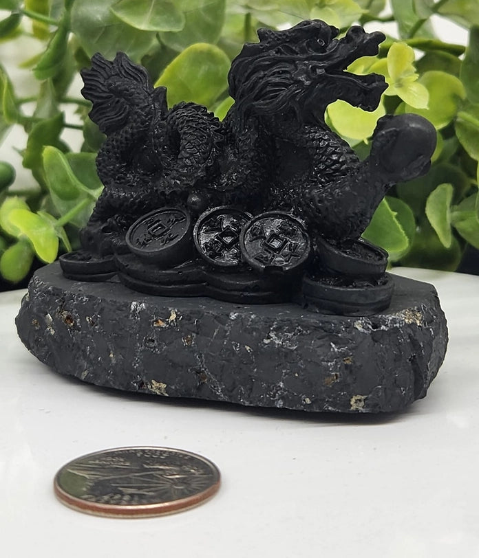 Shungite Dragon with Coins, wisdom, grounding FB2462 🧡