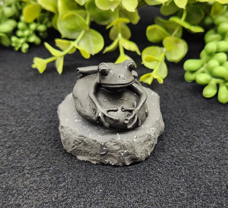 Shungite Frog on Stone Base, grounding FB3431