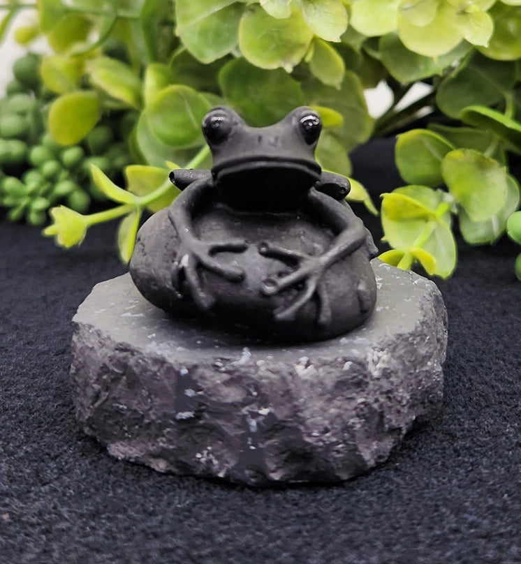 Shungite Frog on Stone Base, grounding FB3431