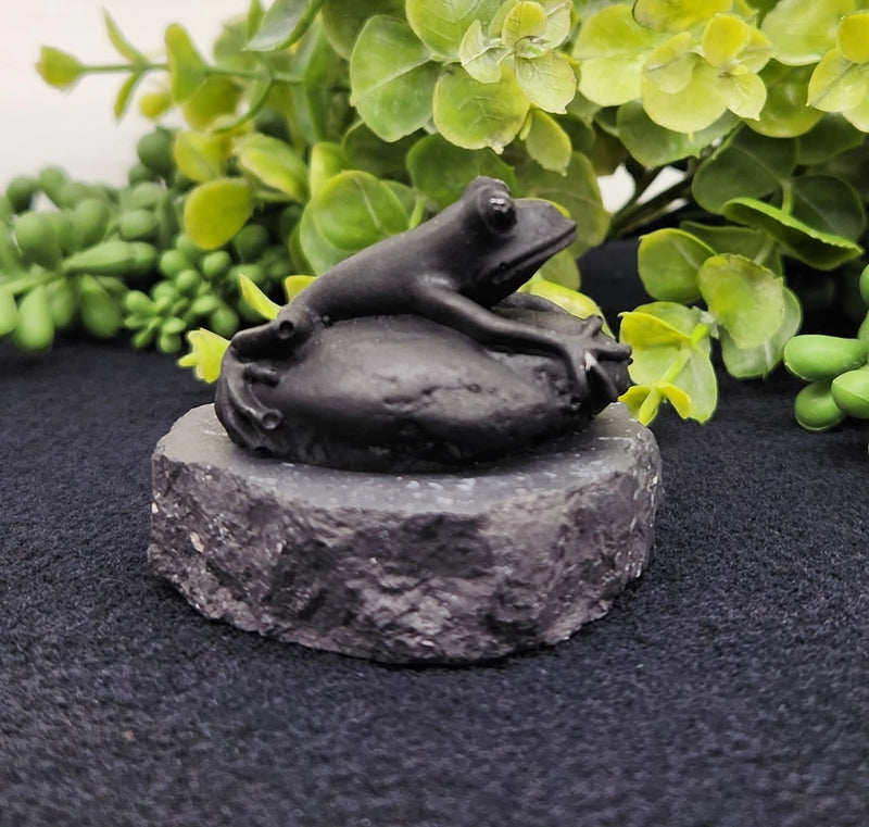 Shungite Frog on Stone Base, grounding FB3431