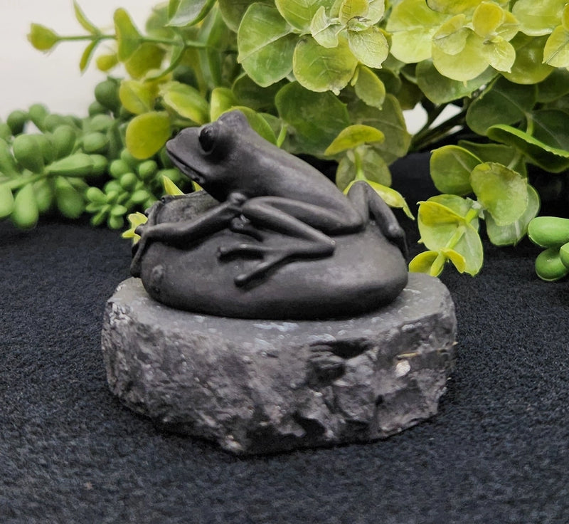 Shungite Frog on Stone Base, grounding FB3431