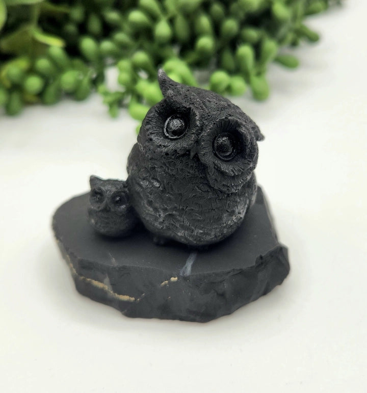 Shungite Owl & Owlet on Base, grounding FB1346