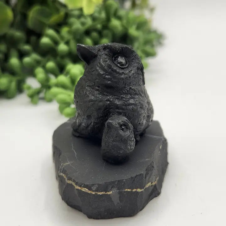 Shungite Owl & Owlet on Base, grounding FB1346