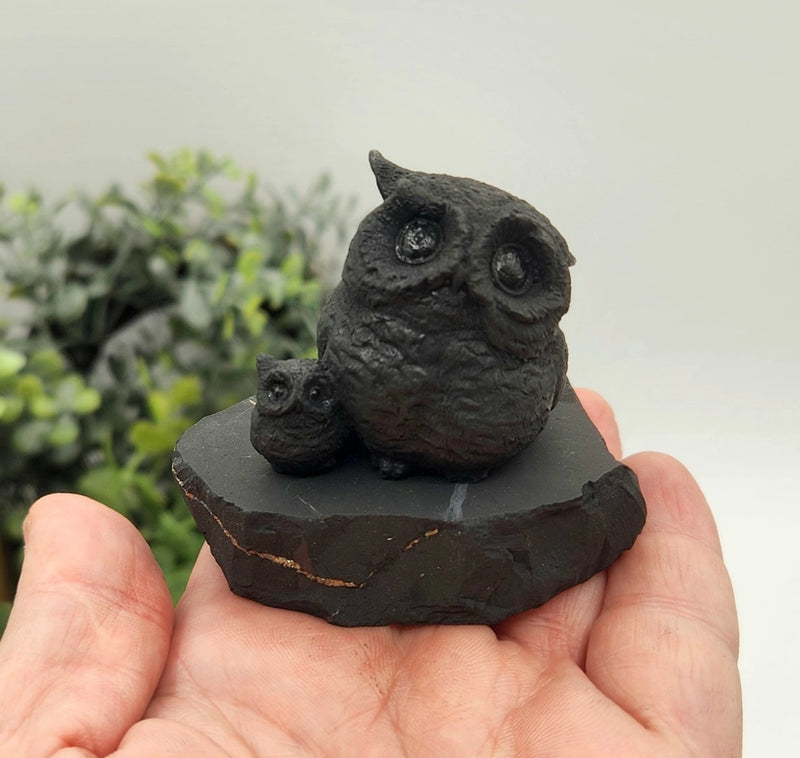 Shungite Owl & Owlet on Base, grounding FB1346