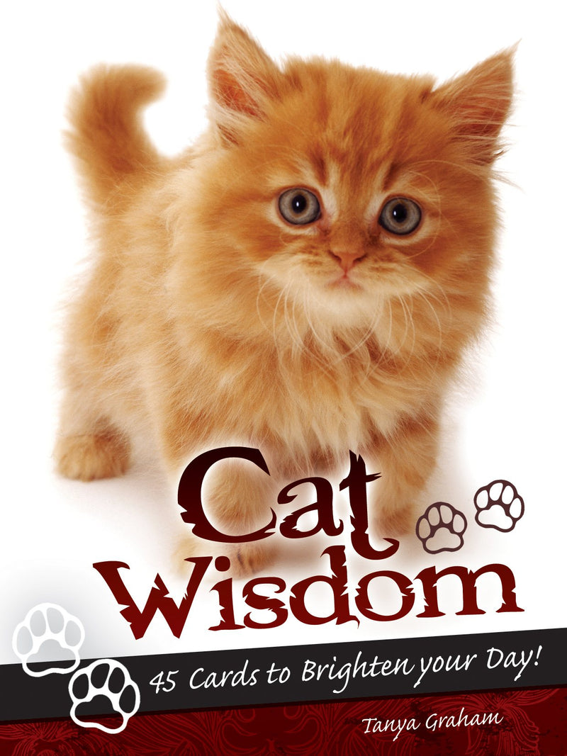 Cat Wisdom Inspirational Cards 😸