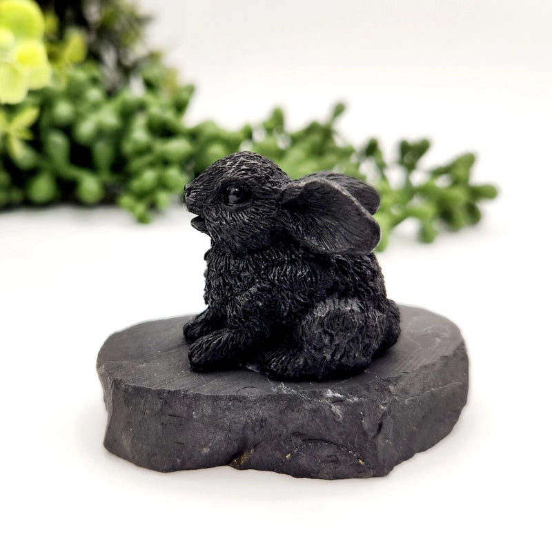 Shungite Rabbit Bunny FB1365 🐇