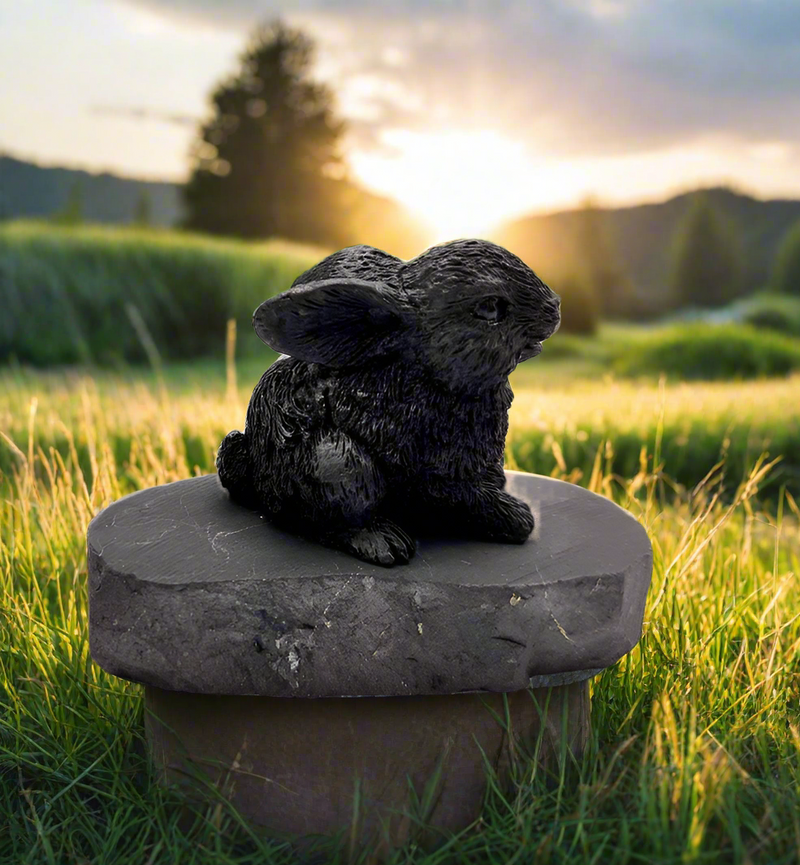 Shungite Rabbit Bunny FB1365 🐇