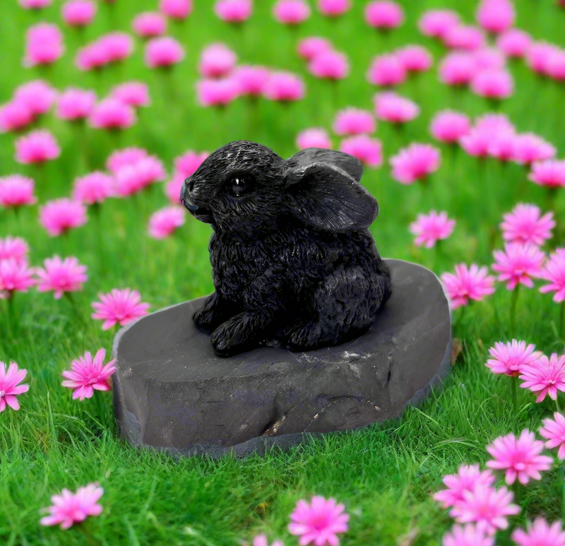 Shungite Rabbit Bunny FB1365 🐇