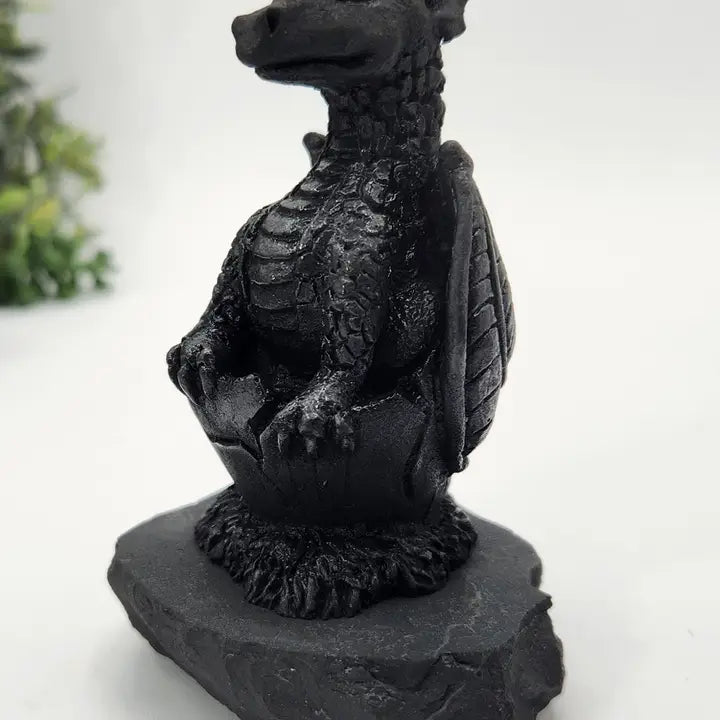 Shungite Dragon in Egg on Base, Detailed Carving, grounding & protection stone FB3448