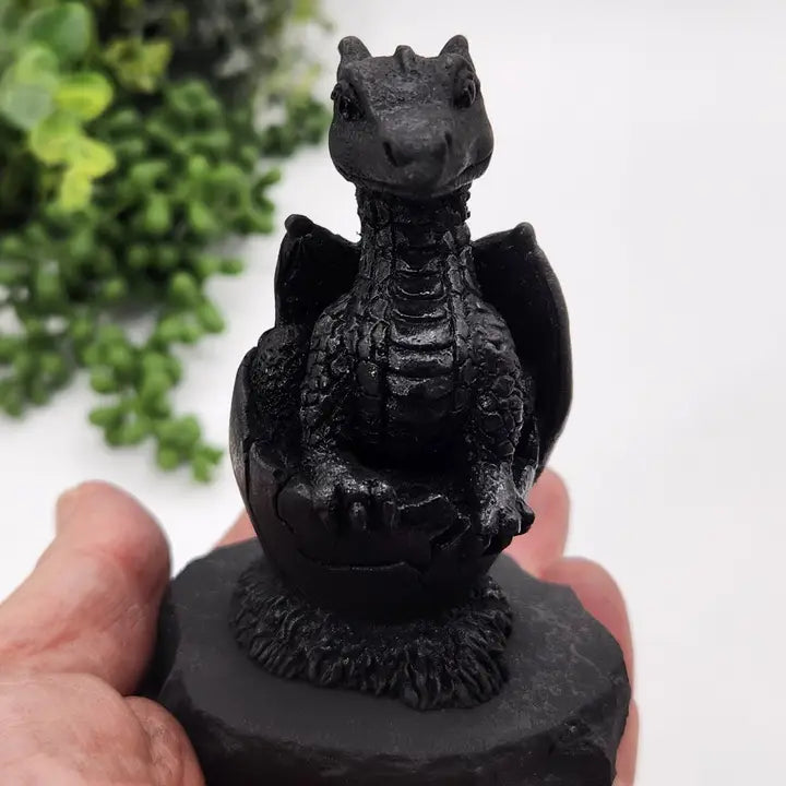 Shungite Dragon in Egg on Base, Detailed Carving, grounding & protection stone FB3448