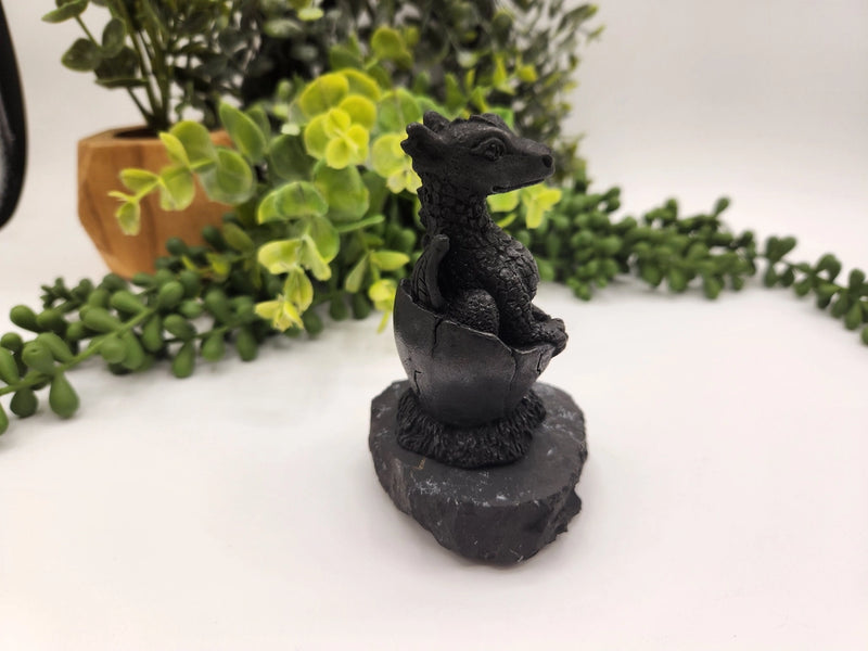 Shungite Dragon in Egg on Base, Detailed Carving, grounding & protection stone FB3448