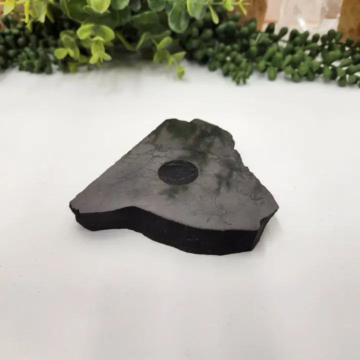 Shungite Slab Sphere Holder, Free form, powerful healing crystal for protection FB3433 🐘