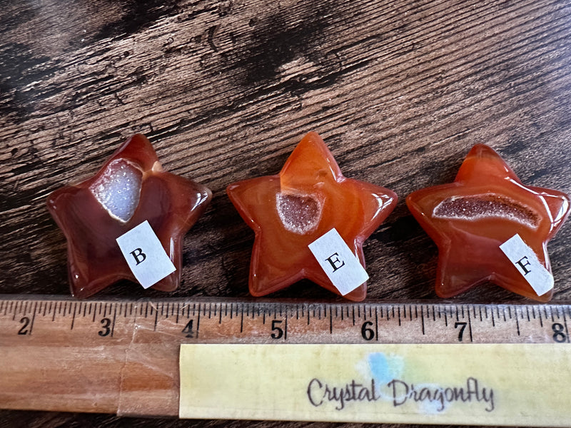 Carnelian Drusy Carved Star for vitality FB3196