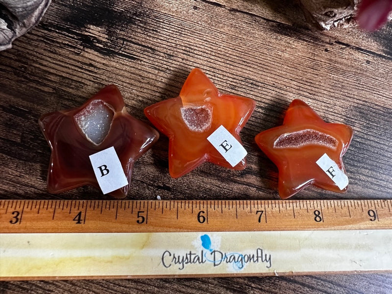 Carnelian Drusy Carved Star for vitality FB3196