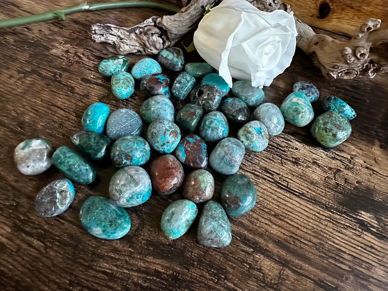 Tumbled Chrysocolla for Love, Stress & Rebuilding