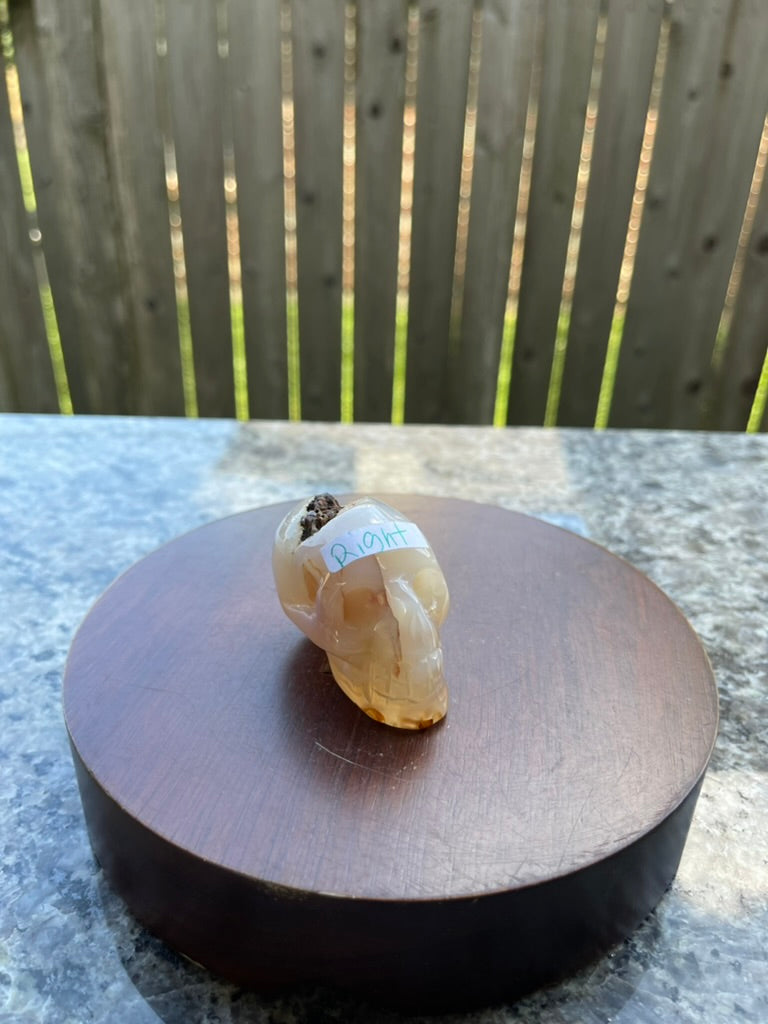Agate Drusy Skull, protection, courage, harmony healing FB2314