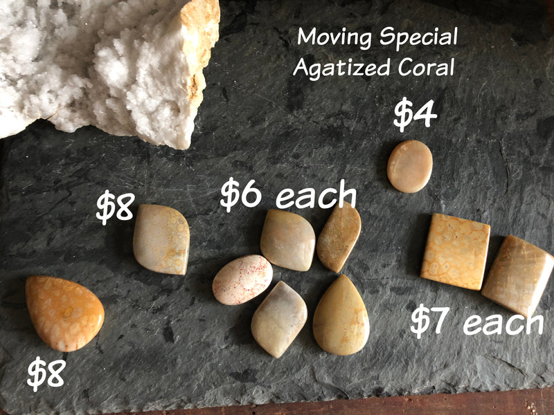 Agatized (fossilized) Coral Polished Cabochons FB1937 🚛🏡🚛Moving Special🚛🏡🚛